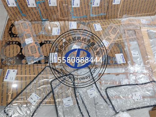 珀金斯403D-11發動機墊圈131426210/165996500/1359965配件