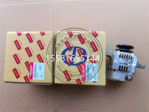 洋馬4TNV98發電機123951-77200